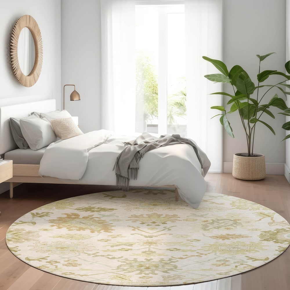 Machine Washable Indoor/ Outdoor Traditional Casual Chantille Rug