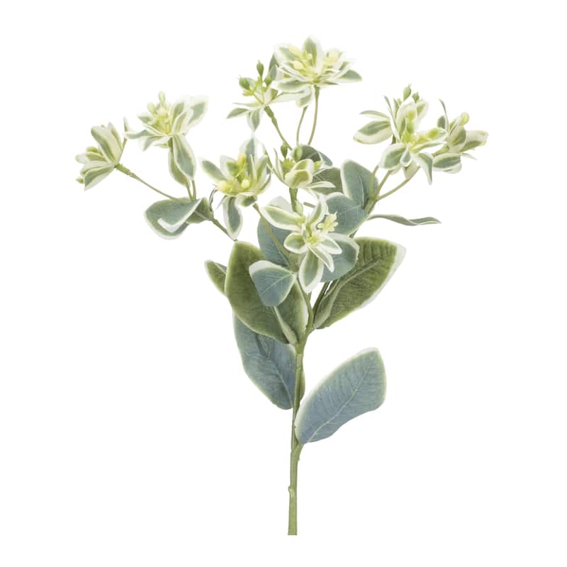 Euphorbia Floral Stem (Set of 6) - Green, White