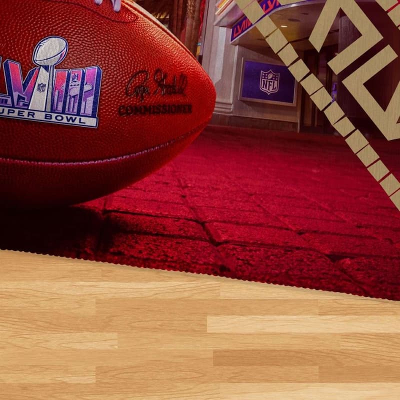 NFL San Francisco 49ERS SB58 Arrival Participant Washable Rug - 36in x 62in