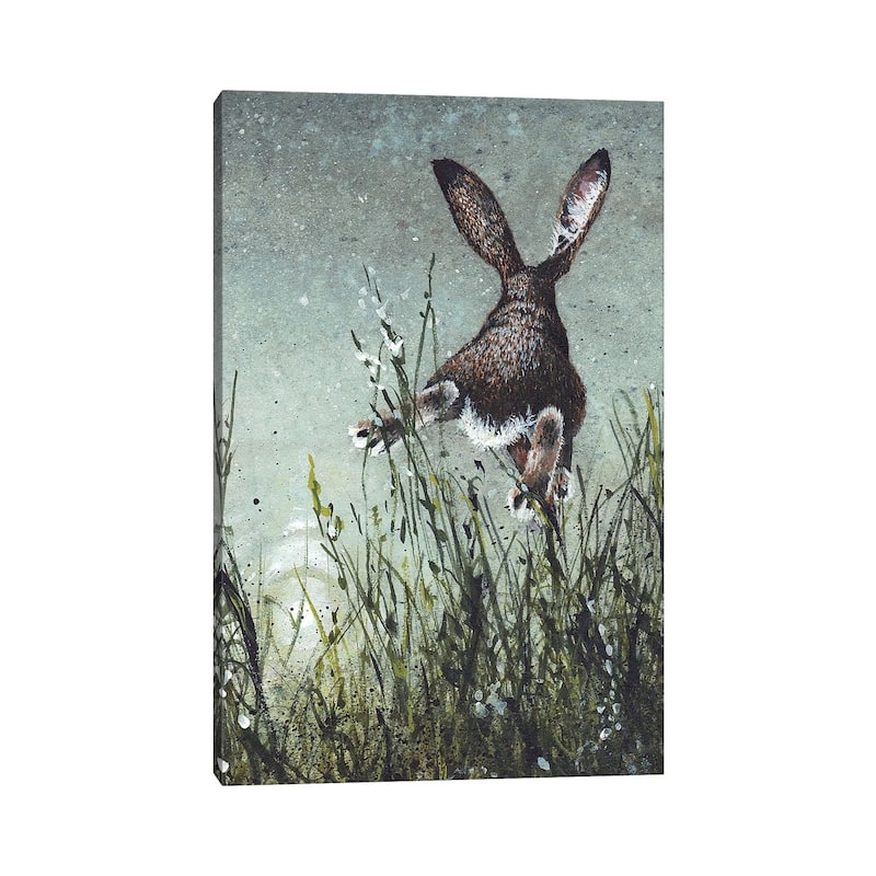 iCanvas "Airborne" by Maggie Vandewalle Canvas Print