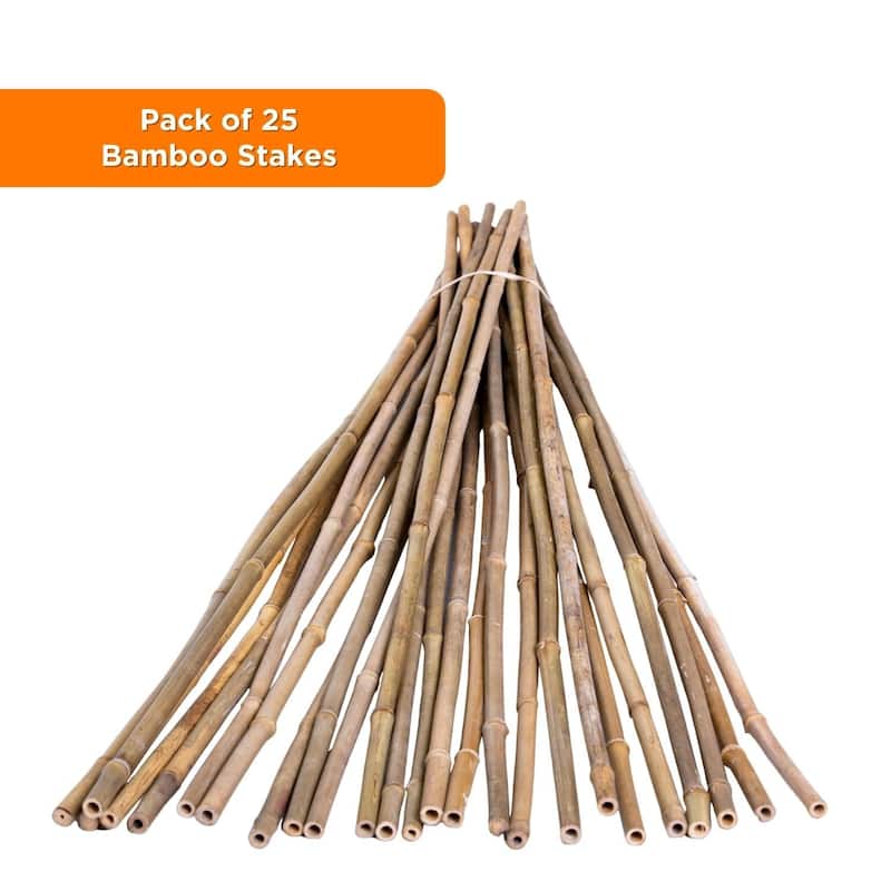 Bamboo Stakes For Gardening Plant Support for Garden Natural (25-Pack)