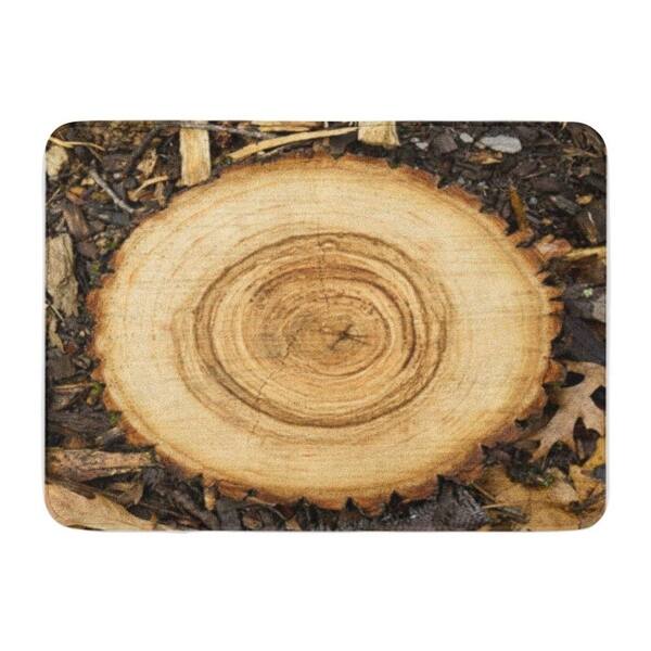 Smooth Cross Section Of Brown Tree Stump Cracks And Age Rings Shows Wood Grain Doormat Floor Rug Bath Mat 23 6x15 7 Inch Multi On Sale Overstock 31776335