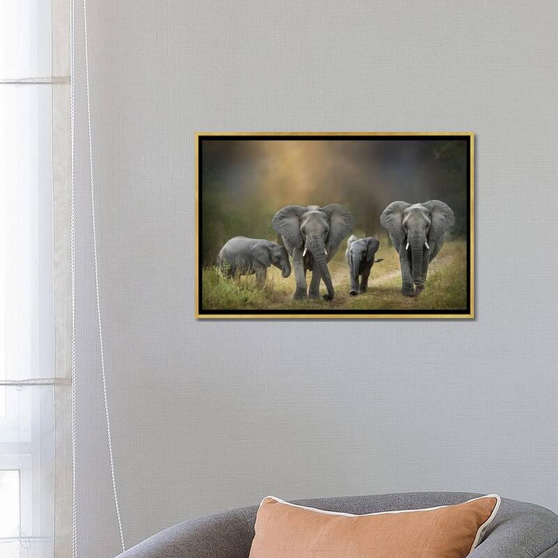 iCanvas "Elephant Family" by Patsy Weingart Framed