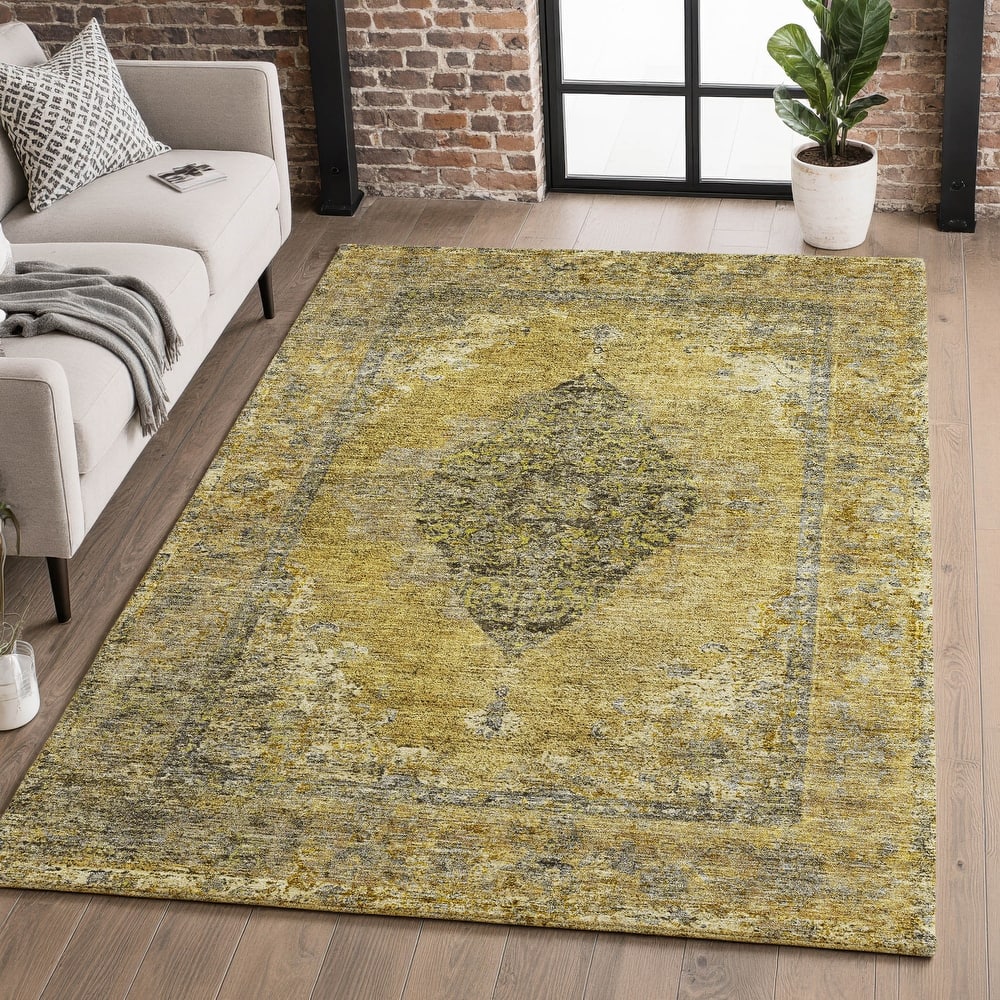 Premium Washable Super Soft Vintage Traditional Mayfield Rug