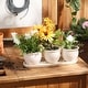 preview thumbnail 27 of 31, White Square Ceramic Small Planter (Set of 3)