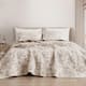Option Taupe 