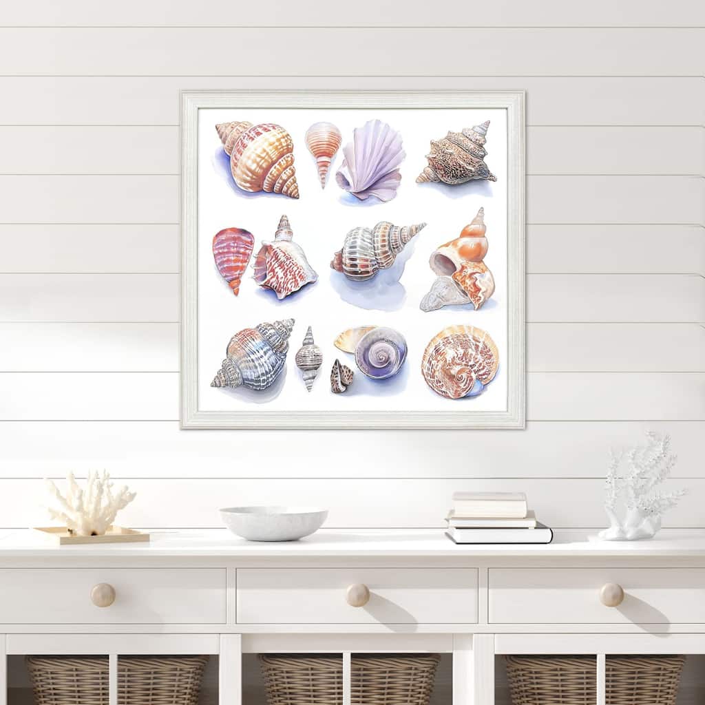 Paragon Shell Factory I Framed Art