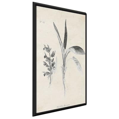 "Latin Botanicals II" Print on Floating Canvas