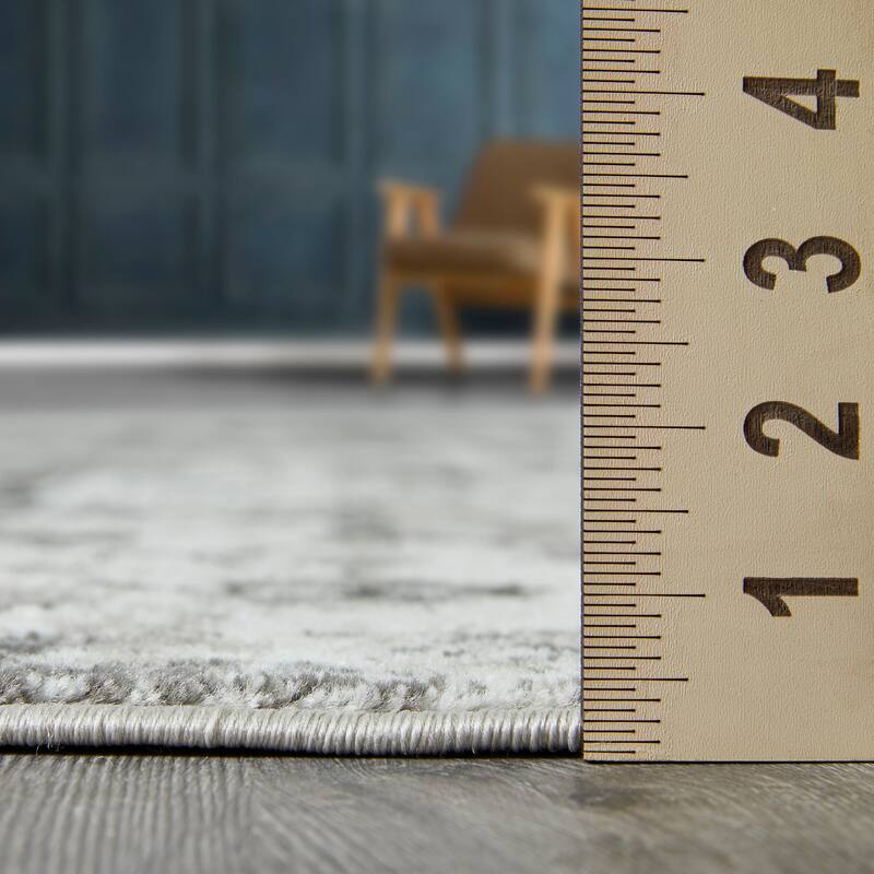 Loomaknoti Rhane Alemern Gray Area Rug