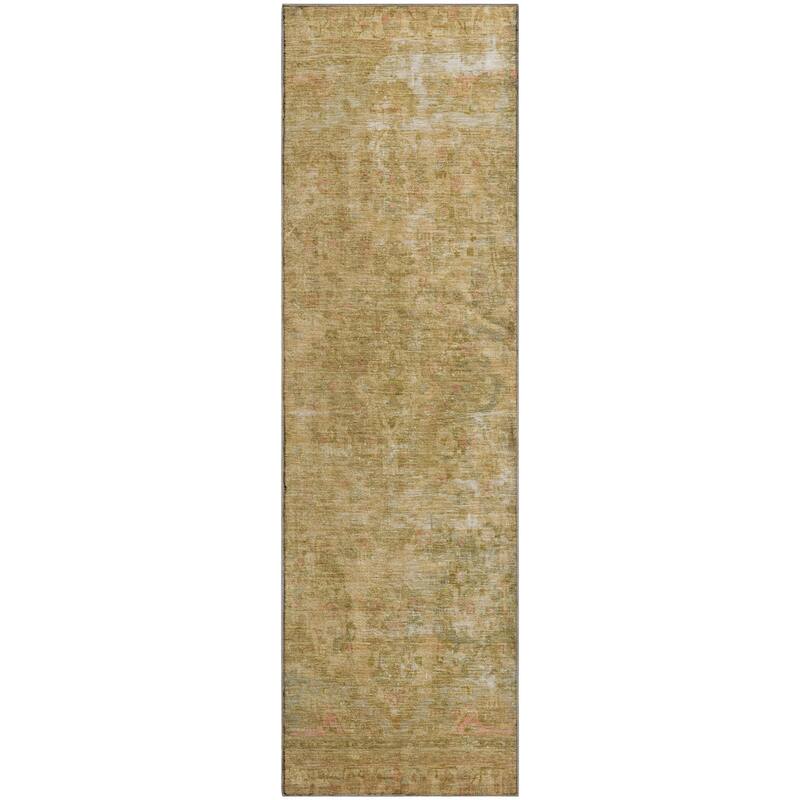 Premium Washable Super Soft Vintage Traditional Mayfield Rug