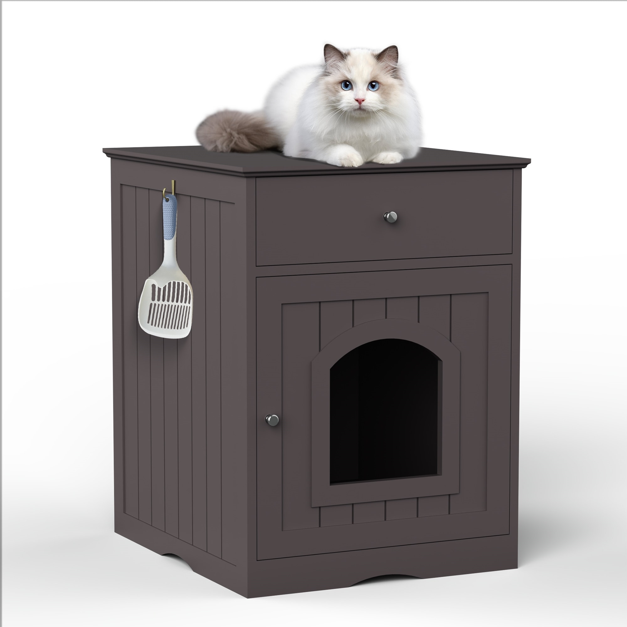 House cat 2024 litter box