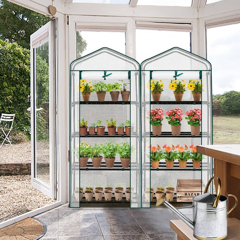 PE Cover Steel Frame 4-Tier Mini Greenhouse