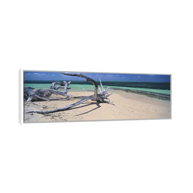 iCanvas "Driftwood on the beach, Green Island,Great Barrier Reef, Queensland, Australia" by Panoramic Images Framed Canvas Print - 20x60 - White