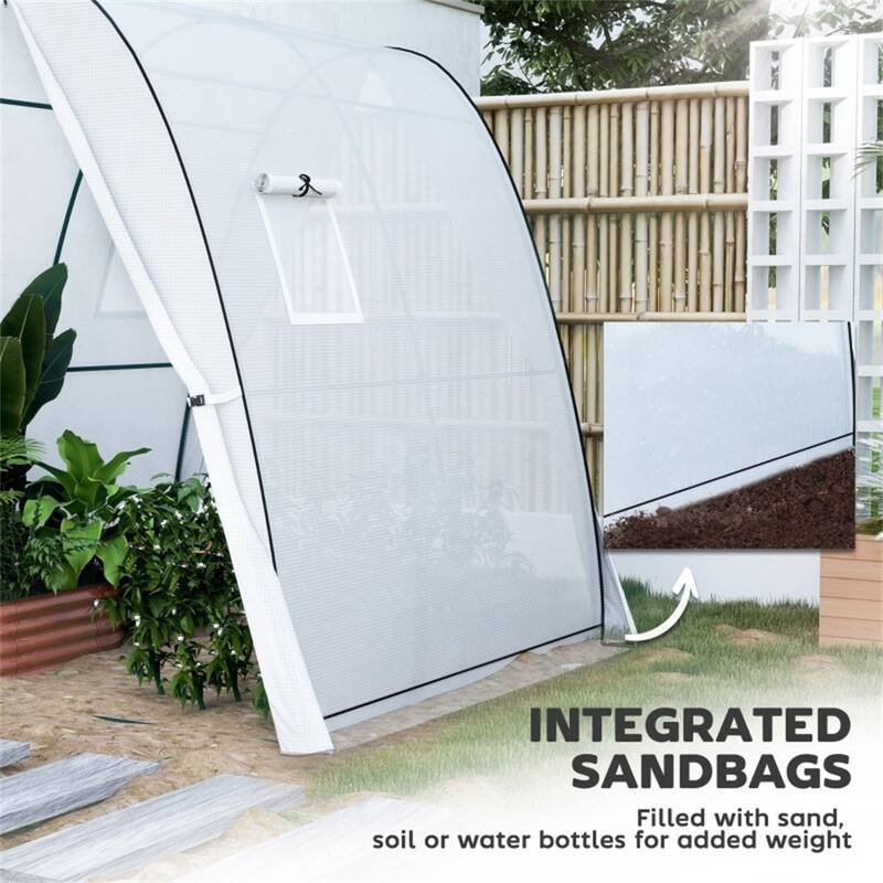 PE Steel Gothic Arch Mini Greenhouse with Roll-Up Doors