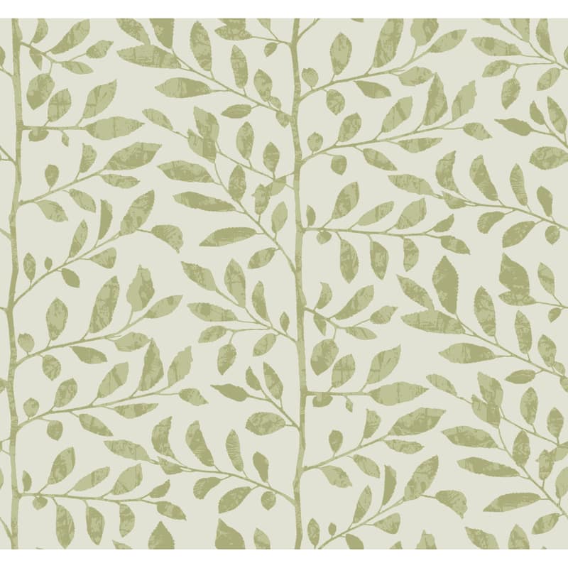 A-Street Prints Sagecrest Sage Sapling Wallpaper