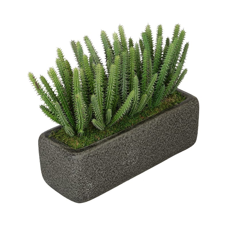Faux Organ Pipe Cactus Garden in Black Sandy-Texture Ceramic Vase