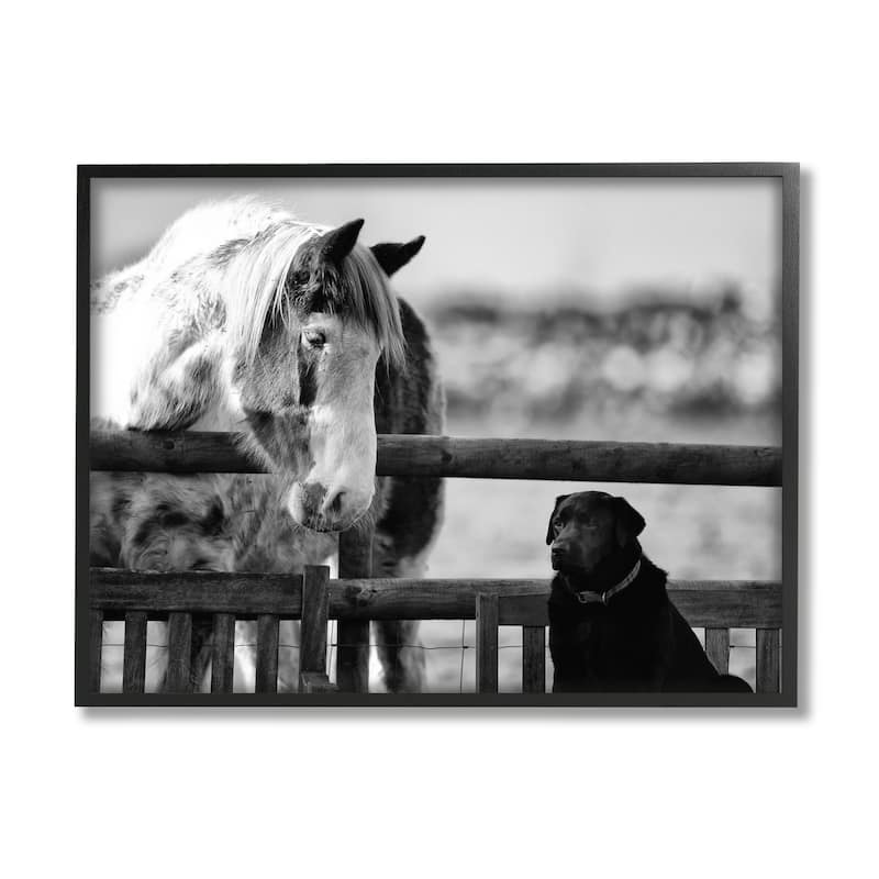 Stupell Dog & Horse Farm Animal Friends Monochrome Photography Framed Wall Art, Design by James Dobson