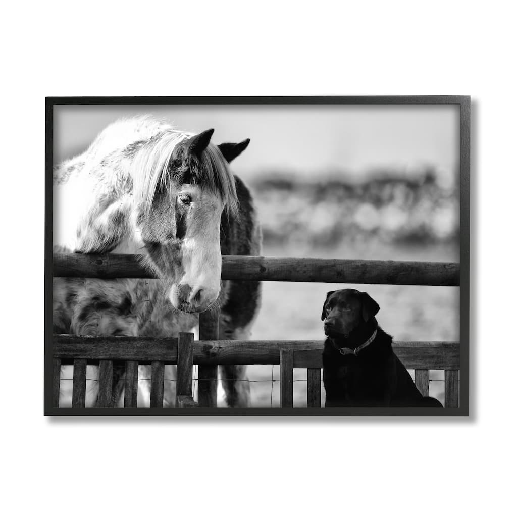 Stupell Dog & Horse Farm Animal Friends Monochrome Photography Framed Wall Art, Design by James Dobson
