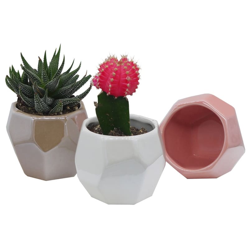 Mini Ceramic Geometric Design, Set of 38'6" x 13'