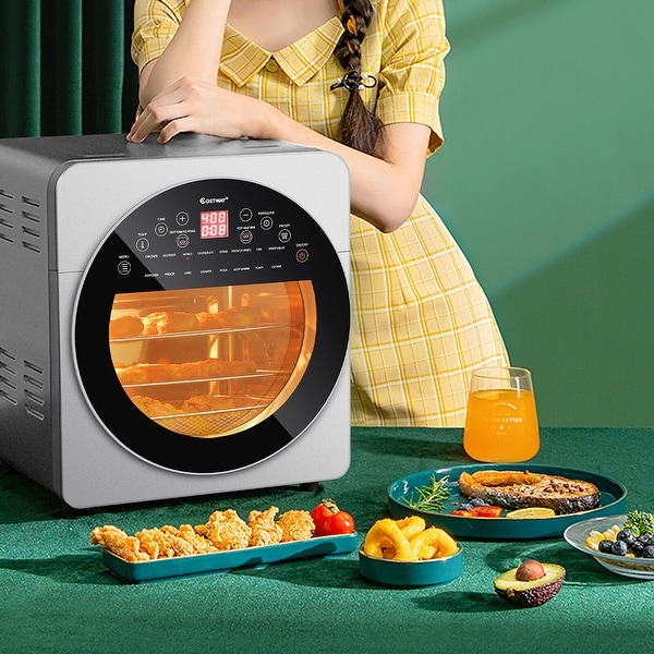 Toaster cheap oven dehydrator