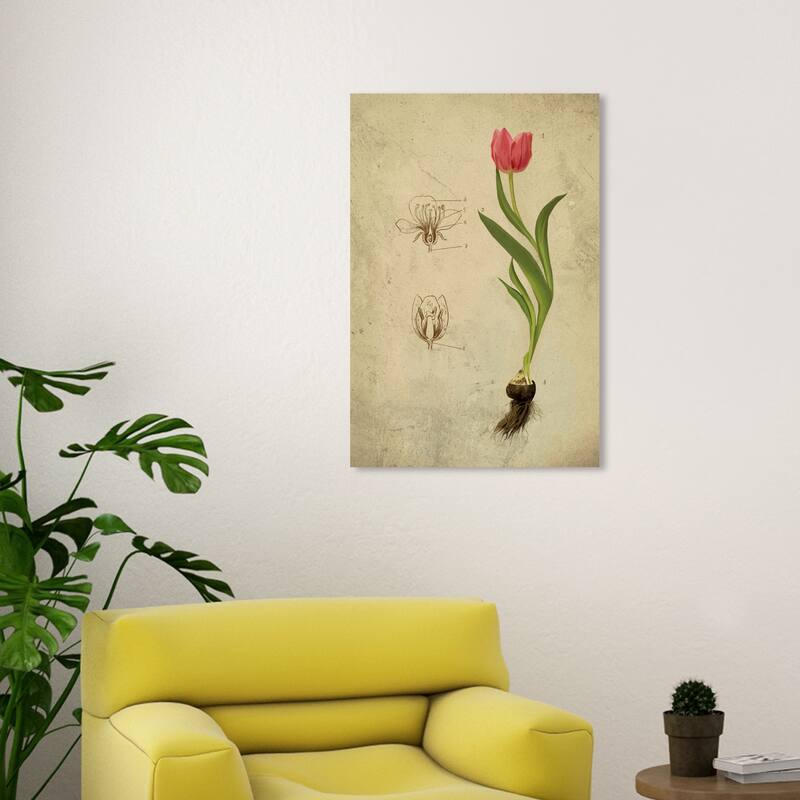 Wynwood Studio Canvas Floral and Botanical Botanical Floral II Pink and Industrial Wall Art Canvas Print - 20 x 30