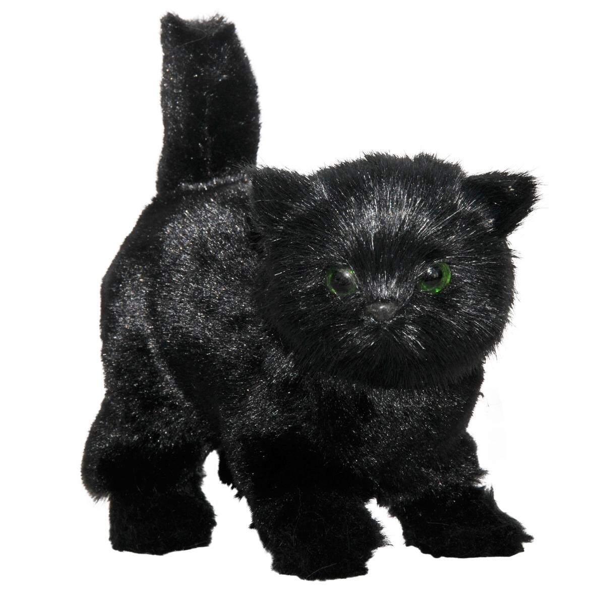 american girl black cat