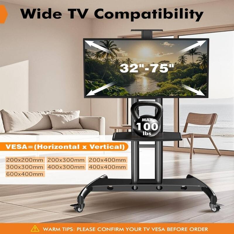 Mobile TV Cart
