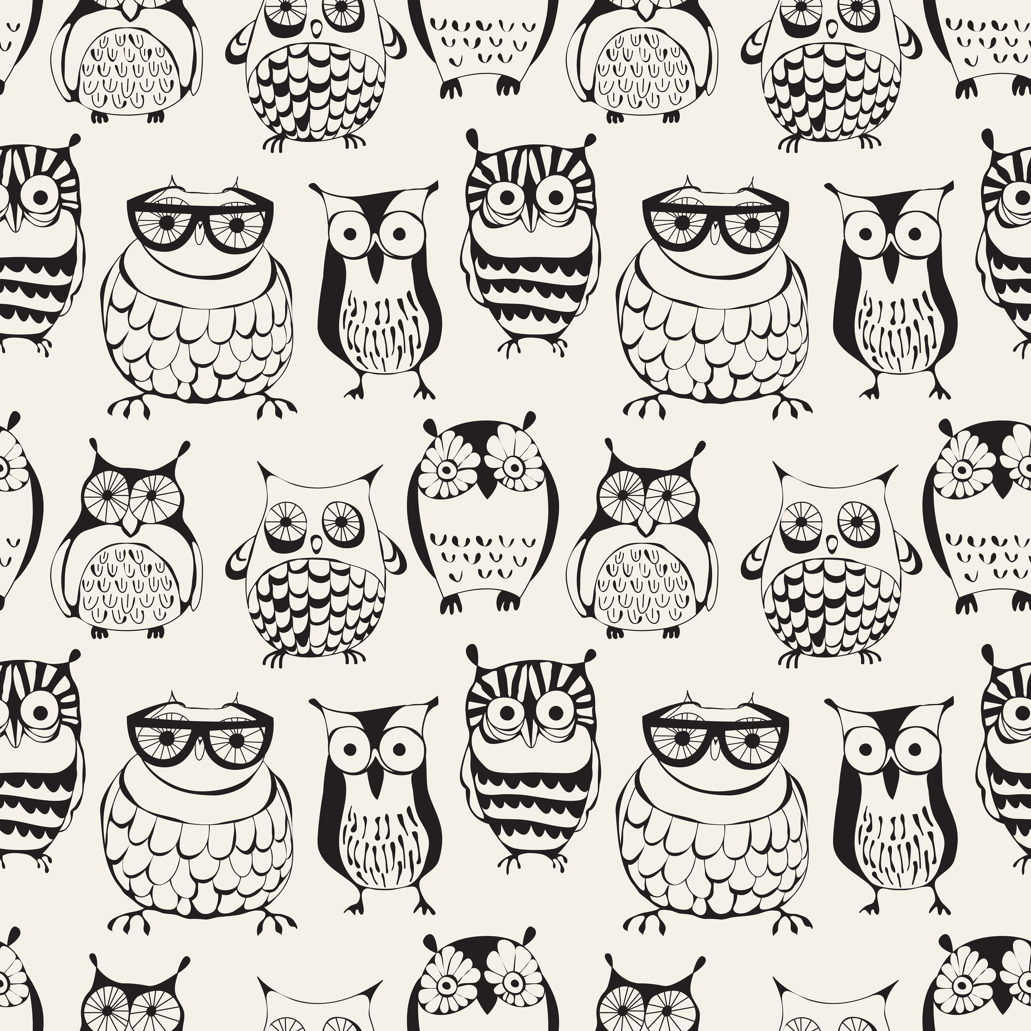 Pattern with Cute Owls Wallpaper - Bed Bath \u0026 Beyond - 32769680, image size:3500x3500