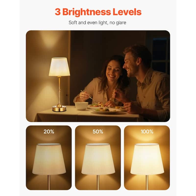 Cordless Desk Lamp with Rechargeable Battery and Adjustable Brightness - 6.3 x 6.3 x 16 inch
