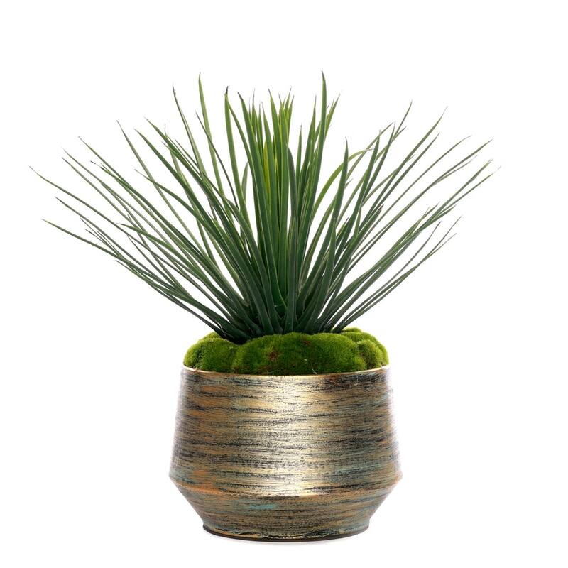 Whipple Yucca/Moss in Green Gold Metal Planter