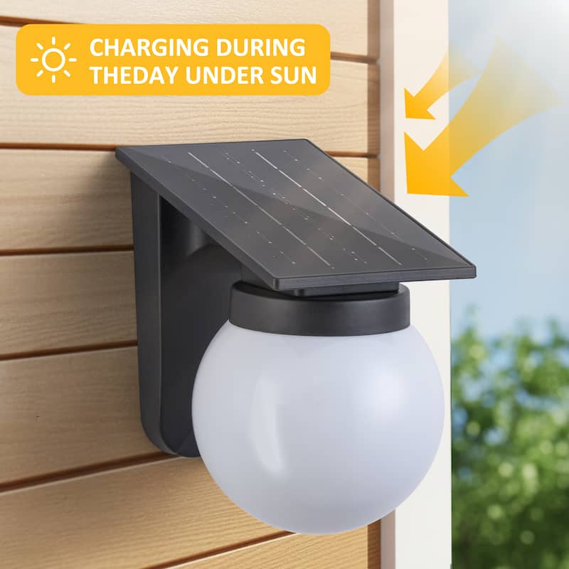 C Cattleya 2-Pack Black Solar Outdoor Wall Sconce with Globe Shade