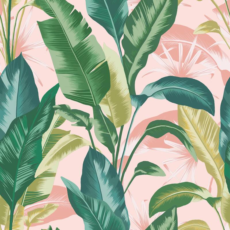 Envy Leaf It Out Sunrise Wallpaper