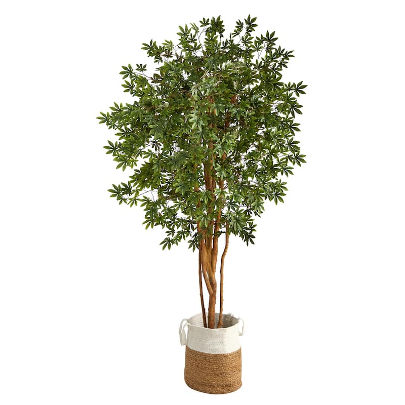 6ft Artificial Maple Tree with Planter - City Chic Home Decor, Faux Tree for Living Room, Bedroom, Office