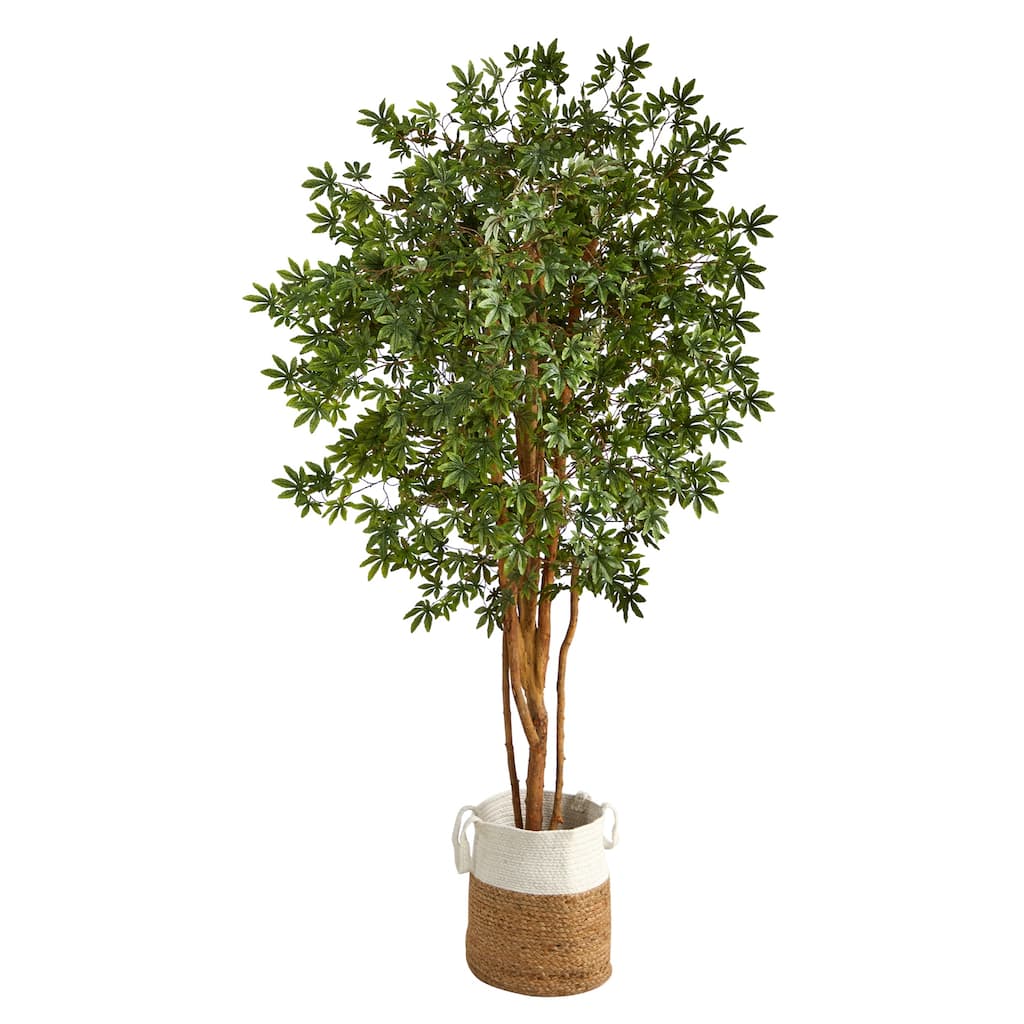 6ft Artificial Maple Tree with Planter - City Chic Home Decor, Faux Tree for Living Room, Bedroom, Office