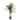 Faux 4ft Golden Cane Palm Tree