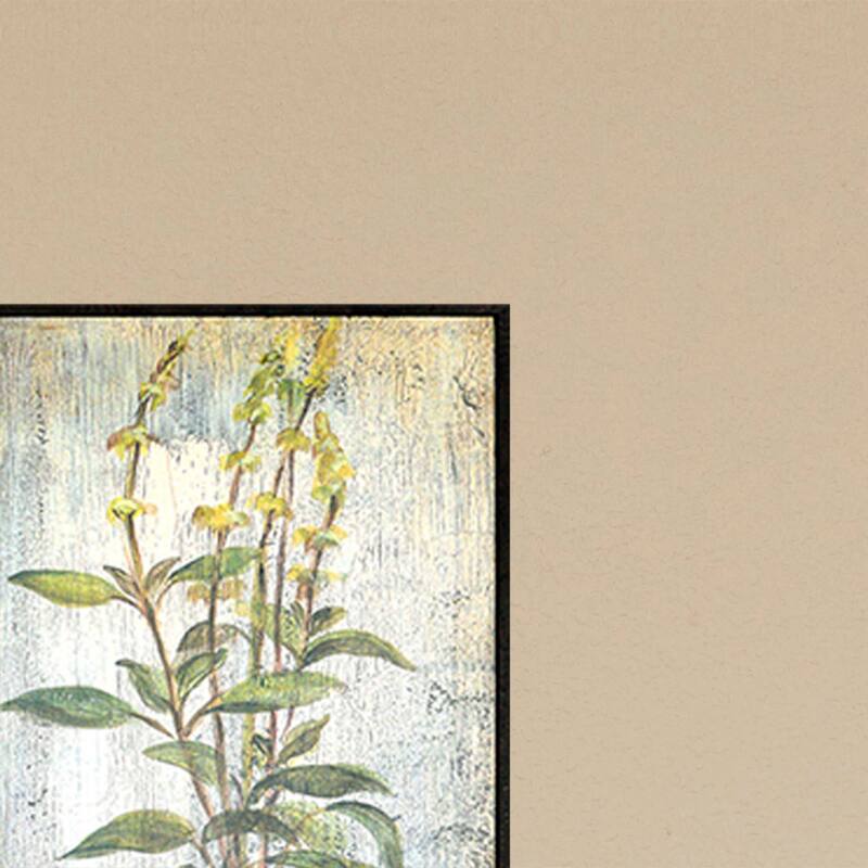 Herbs S/4 Framed Art Giclee - No Glass - Green