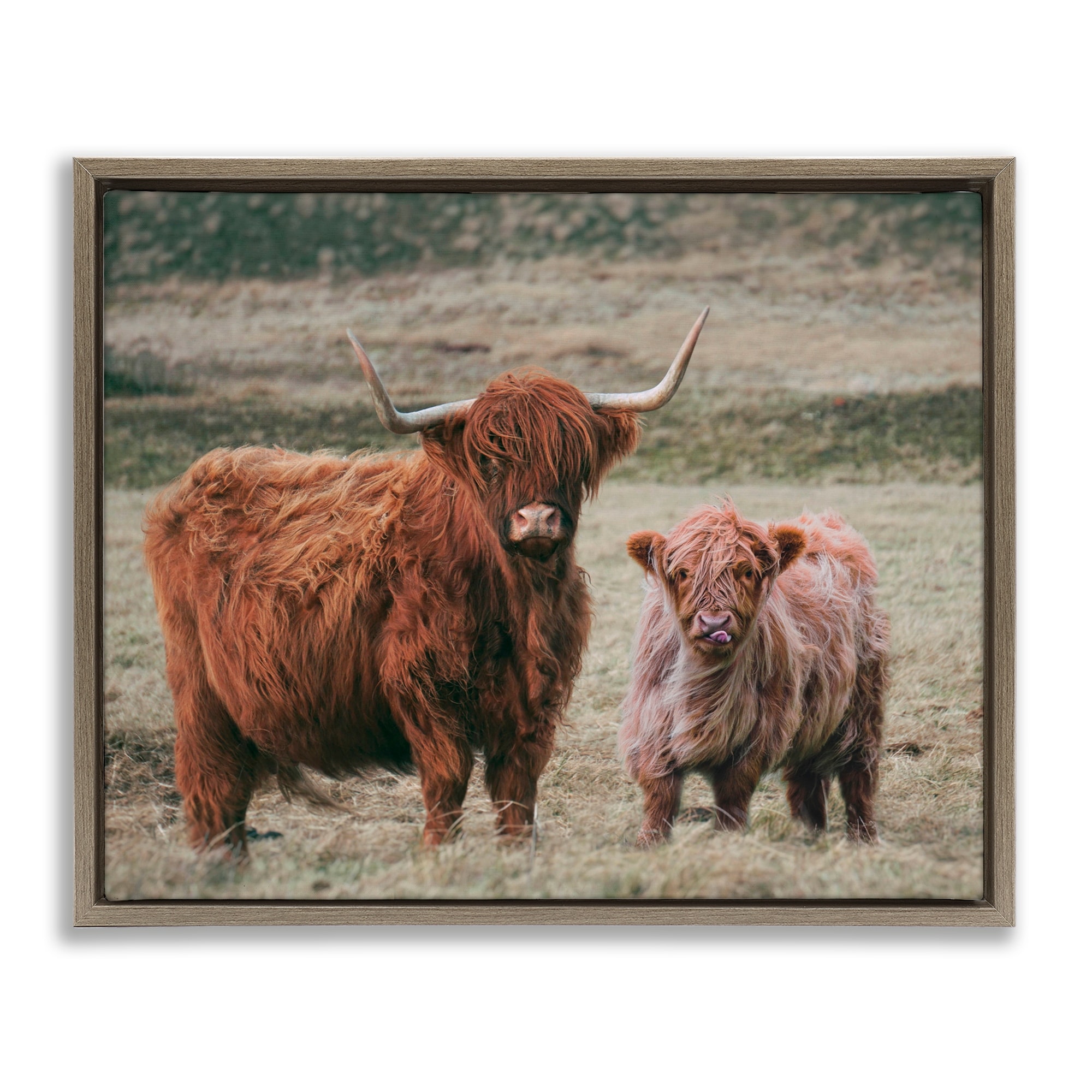 Stupell Mom & Baby Cow Framed Floater Canvas Wall Art Design By Lettered and Lined