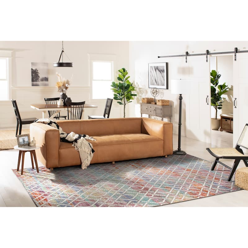 SAFAVIEH Provance Rosalba Vintage Boho Oriental Rug