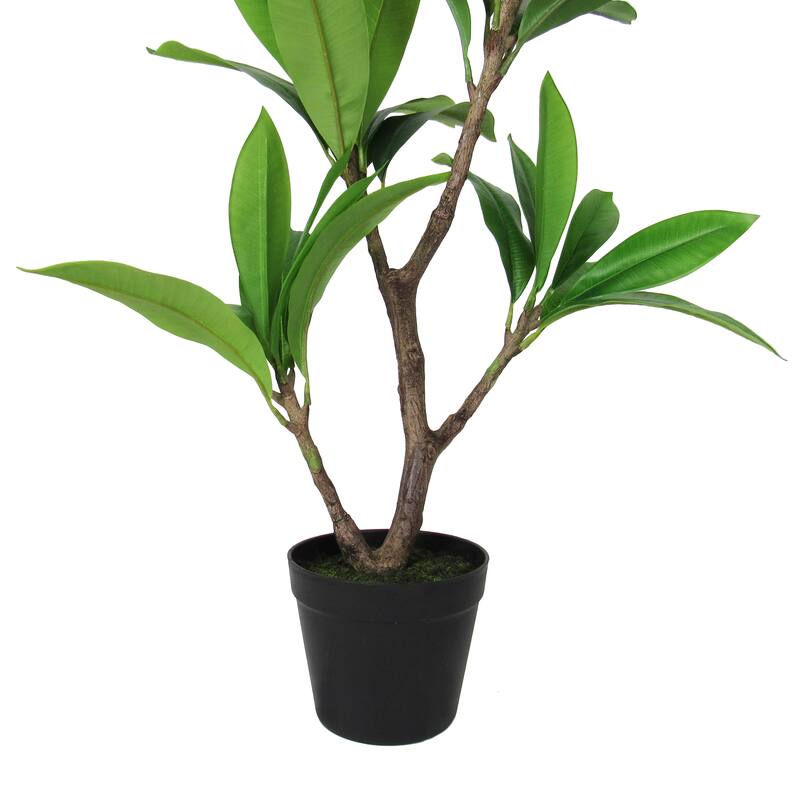 2.25ft Fuchsia Artificial Plumeria Flower Tree Tropical Plant in Black Pot - 27" H x 20" W x 17" DP