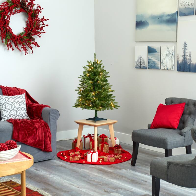 3' Snowed Grand Teton Fir Christmas Tree with 50 Clear Lights - Green
