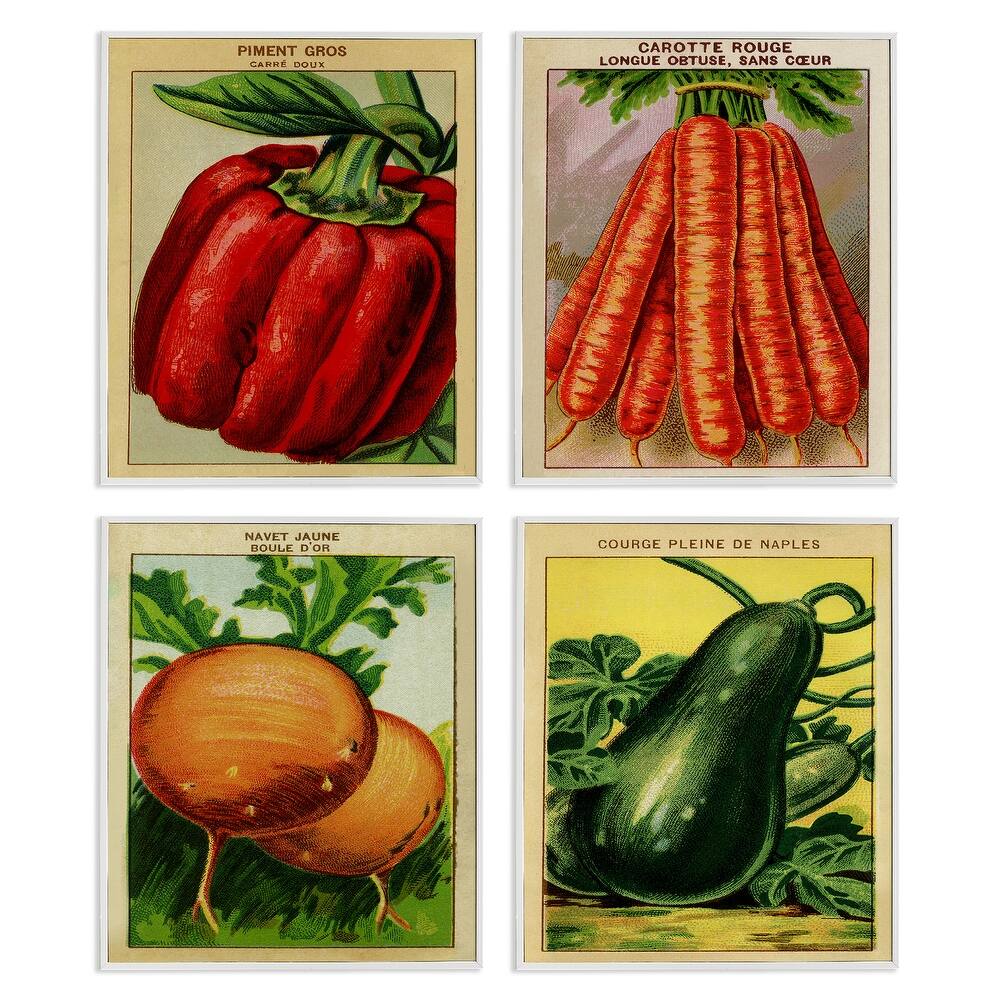 Stupell Rustic Garden Vegetables Framed Giclee Art Design By Lil' Rue (Set of 4)