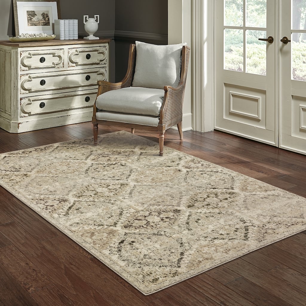 Vista Home Freya Vintage Trellis Area Rug