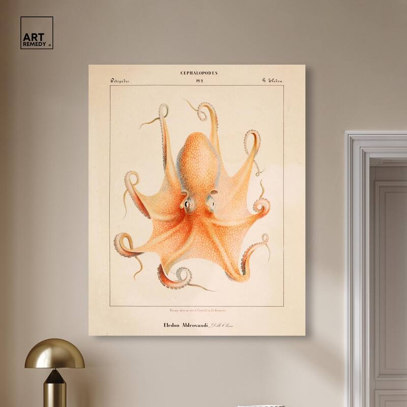 Verany The Octopus 1815 II Canvas by Art Remedy, Gallery Wrapped