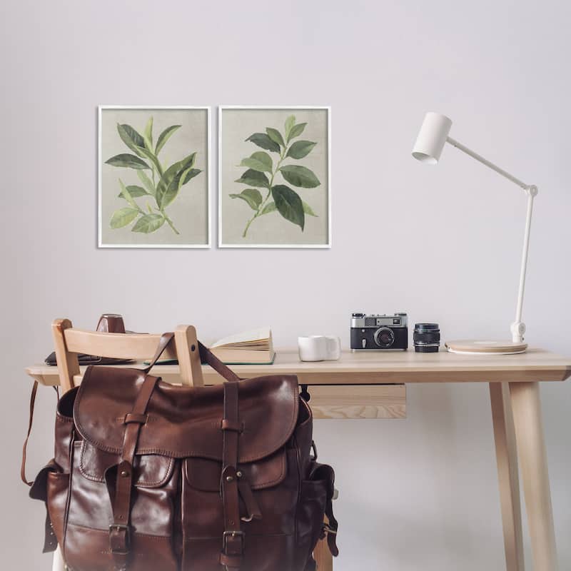 Stupell Green Tea & Coffee Plant Leaves Framed Giclee Art Design By Lanie Loreth (Set of 2)