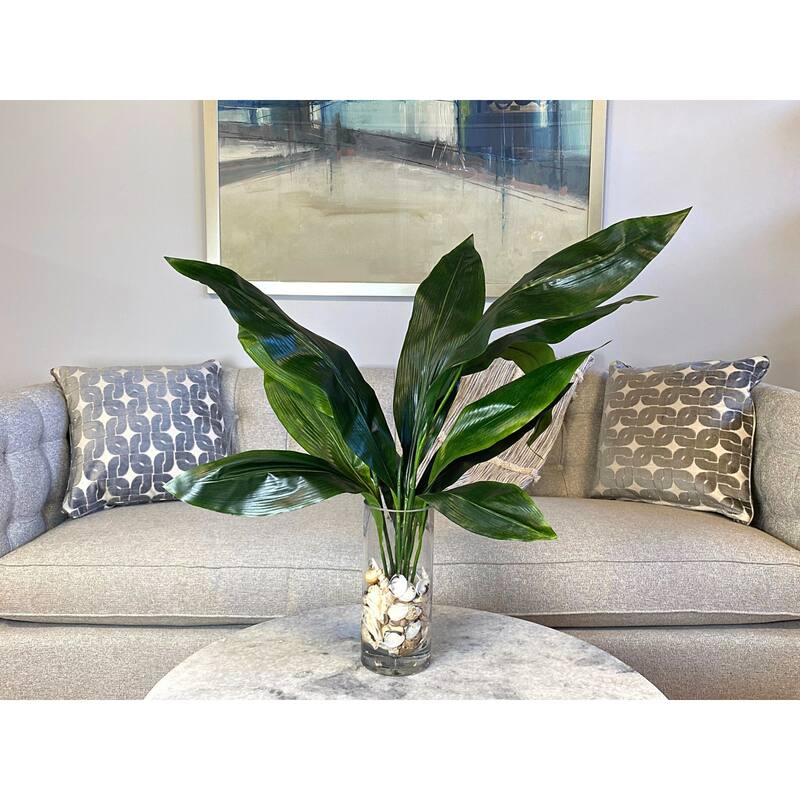 Aspidistra Leaf Arrangement in a Bubble Glass Vase with Shells - Green