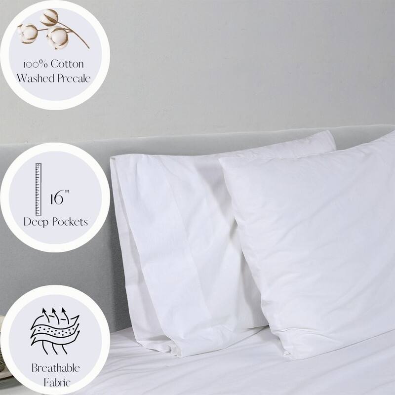 Splendid Costera Cotton 300 Thread Count 4 Piece Set