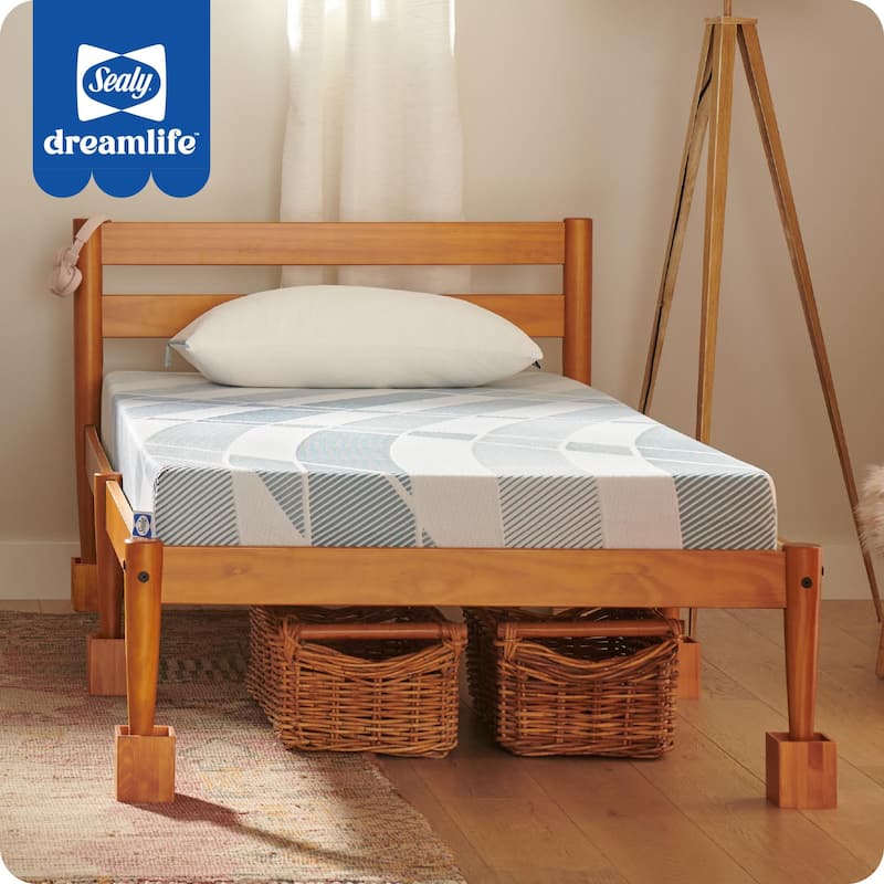 Sealy Dreamlife 6" Foam Mattress-in-a-Box - Twin