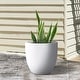 preview thumbnail 34 of 59, Kante 18 Inch Dia Round Concrete Planter, Indoor Outdoor Large Plant Pot