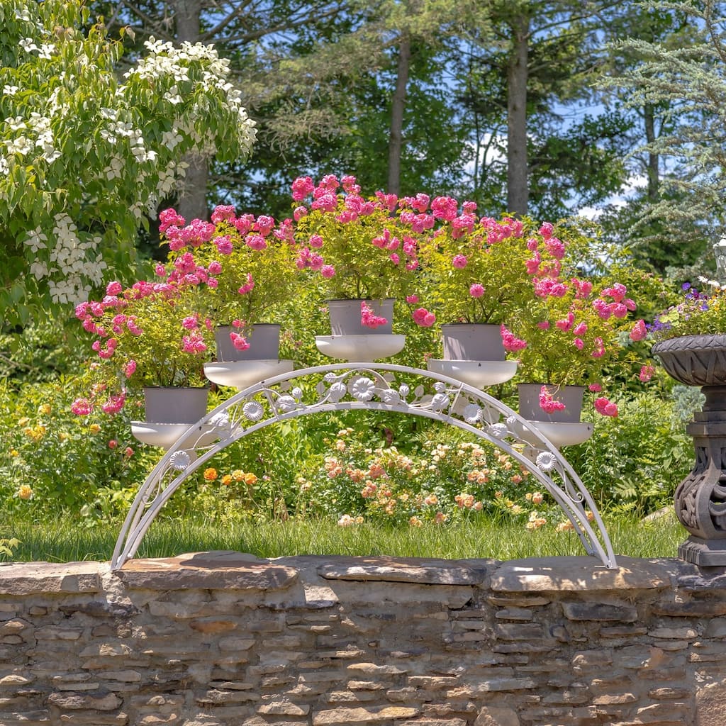 6.6 Foot Long Arched Iron Plant Stand