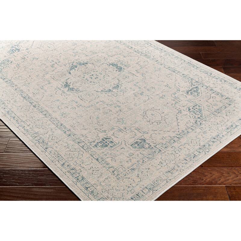 Ronald Indoor / Outdoor Medallion Area Rug